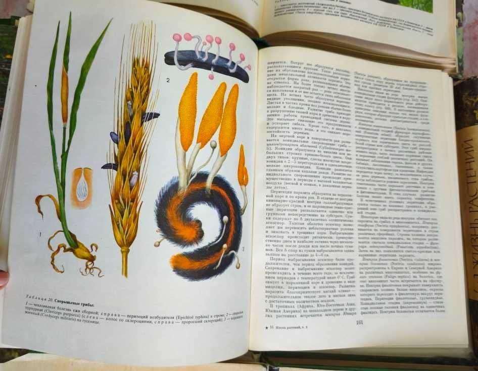 Жизнь растений в 6 томах (7 книг) — 5