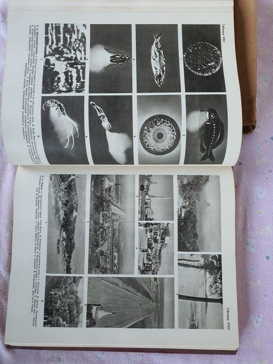 Книга Большая 640стр. Энциклопедия — 7