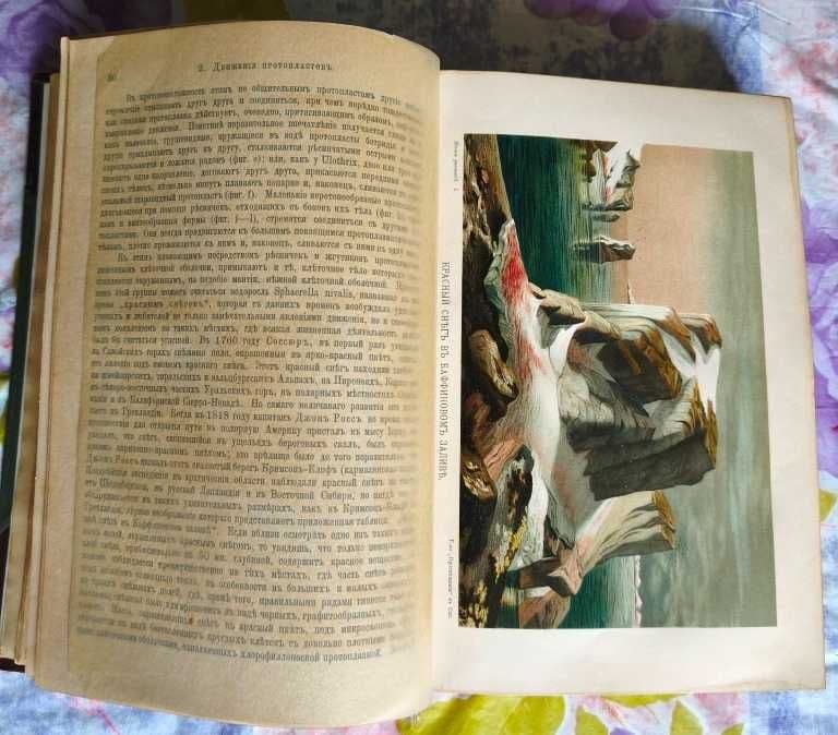 Жизнь растений в 2-х томах. (А.Кернер фон Марилаун)  1903 г. — 5