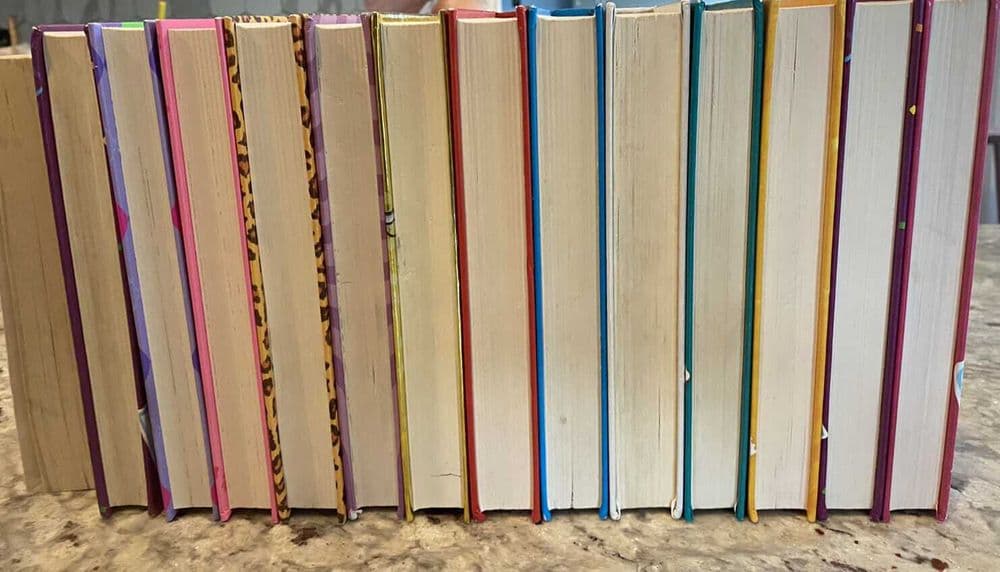 DORK DIARIES 15 books in English. Дневник НИККИ 15 книги На Английском — 4