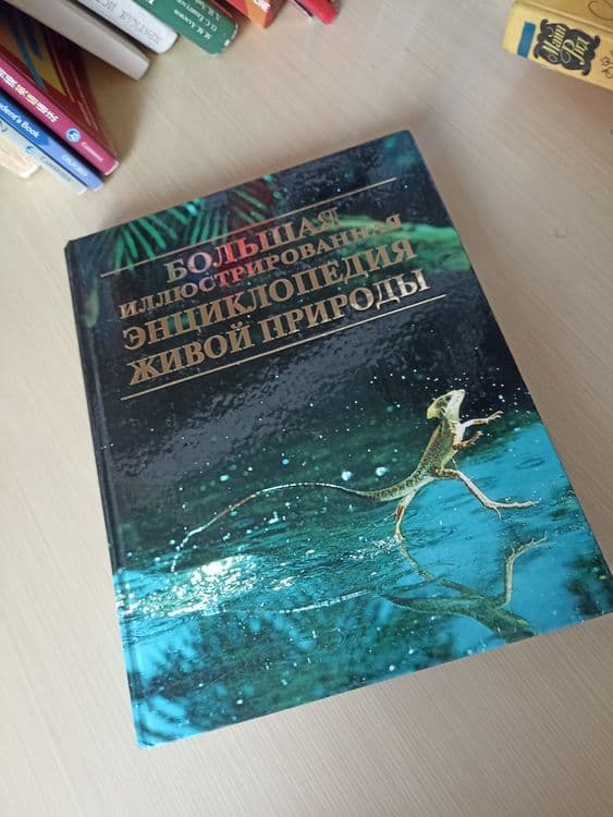 Качественные книги продаю в связи с отъездом — 2