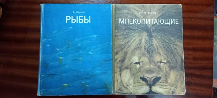 Мир природы - удивительное о животных — 2