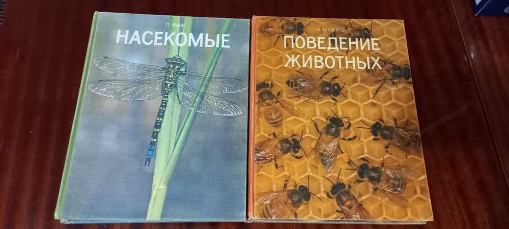 Мир природы - удивительное о животных — 4