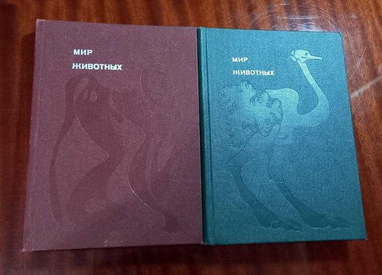 Мир природы - удивительное о животных — 7