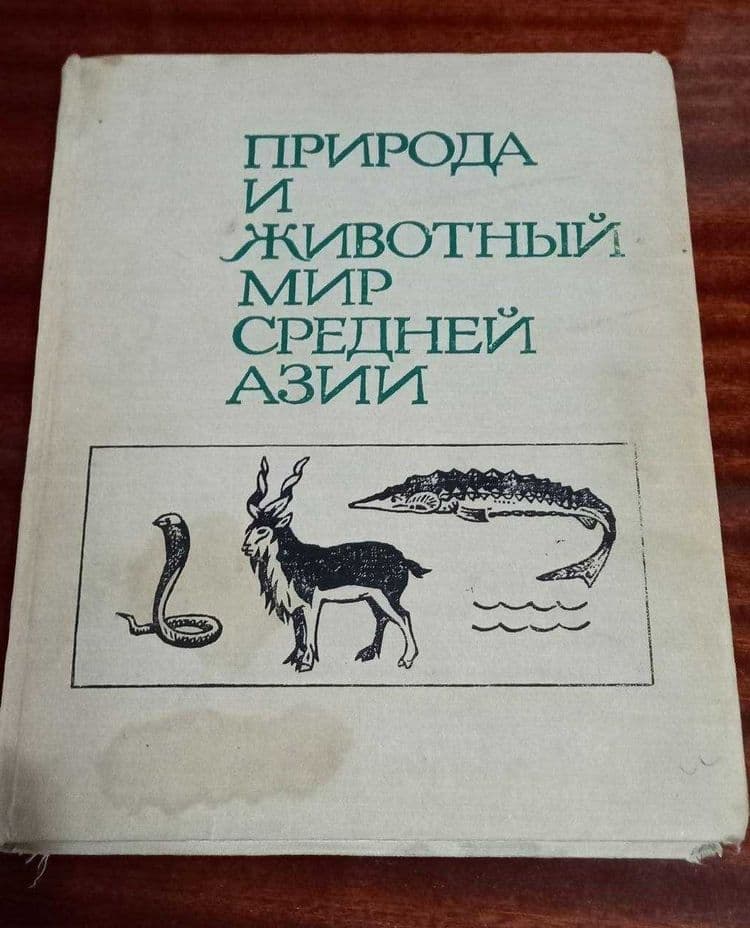 Природа и животный мир Средней азии — 1