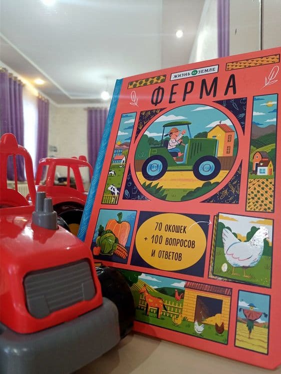Большая детская книга с окошками: Ферма — 1
