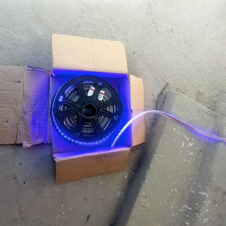 Led lentala sotiladi tezda — 1