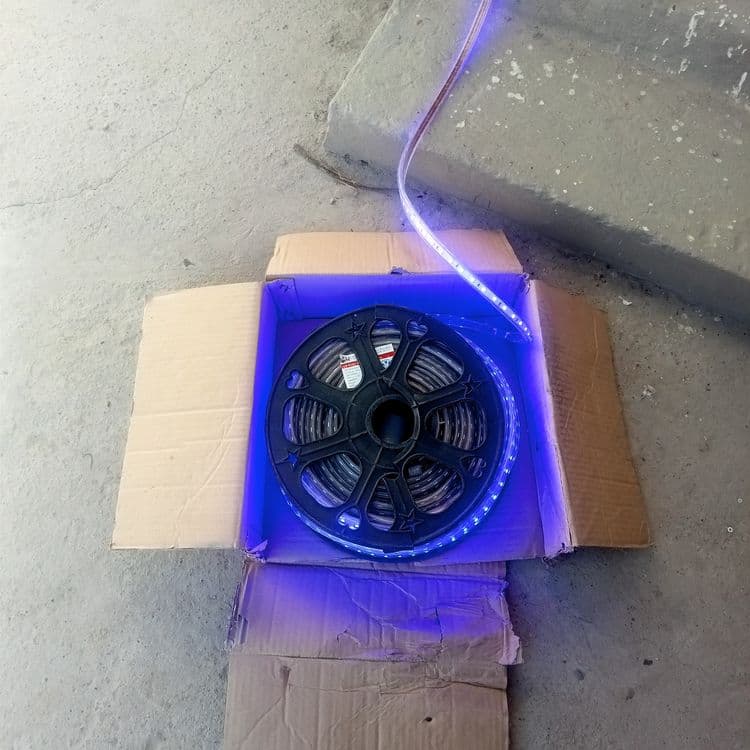 Led lentala sotiladi tezda — 5
