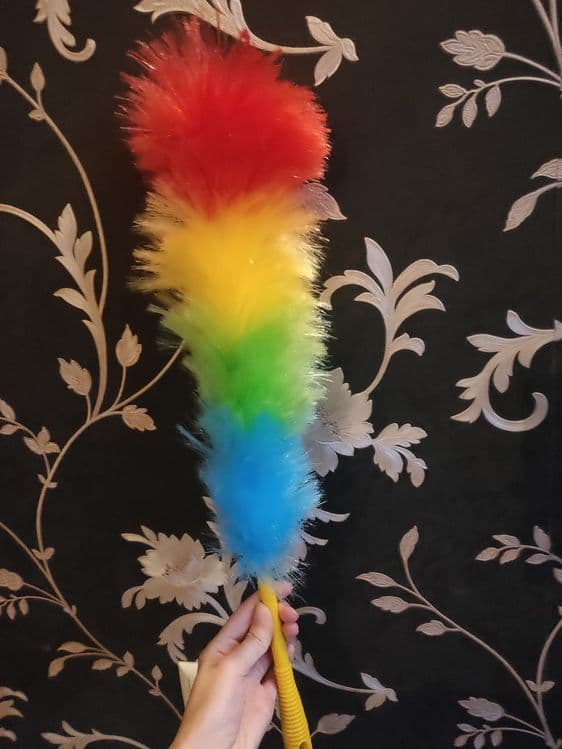 Палочка для сборки пыли, пипидастр — 2