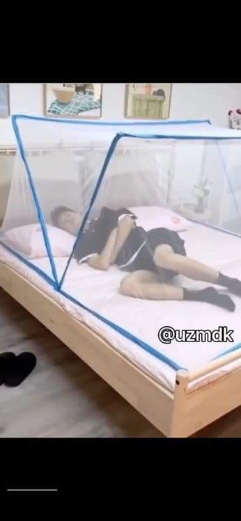Пашшахона 2кишилик оптим дона бор — 4