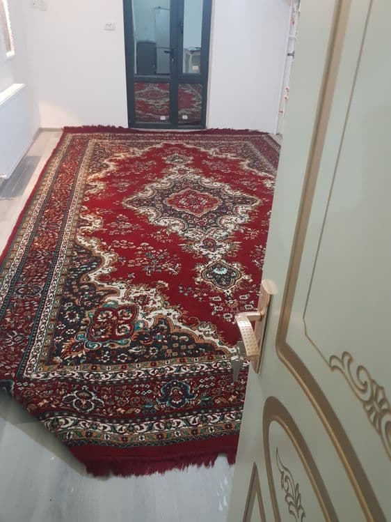 Gilam arginal germani 3x5 — 2