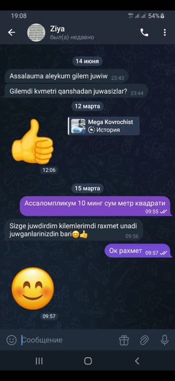 Гилем жууыу + достапка — 8