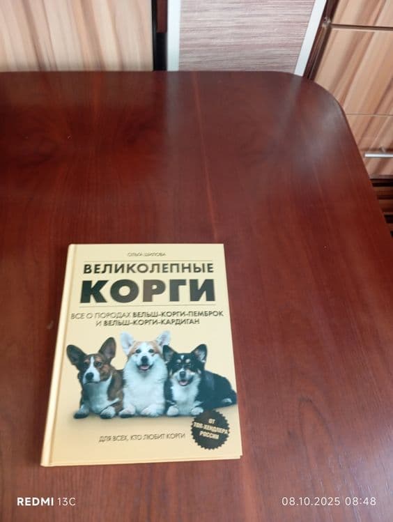 Книга влеколипные корги — 1