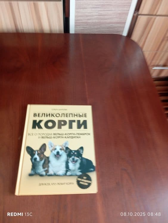 Книга влеколипные корги — 2