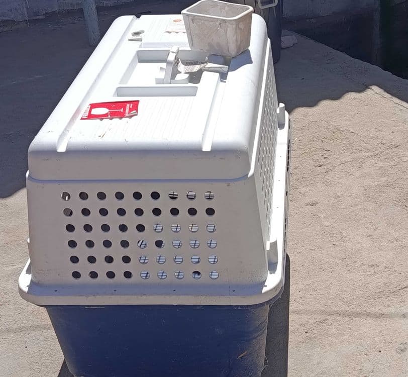 Pet konteyner. Пластиковые переноска для собак — 1
