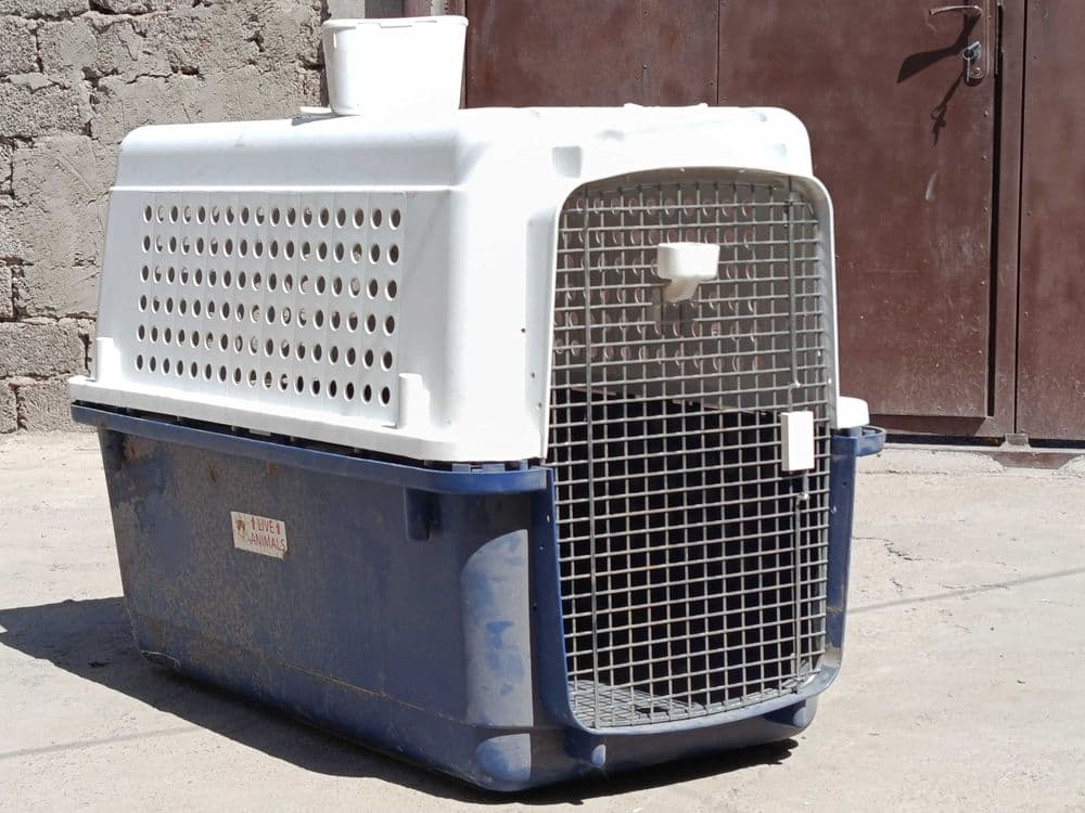 Pet konteyner. Пластиковые переноска для собак — 3