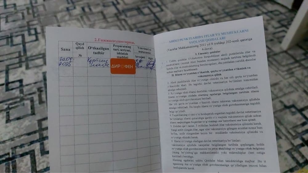 Продаётся собака породы хаски — 5