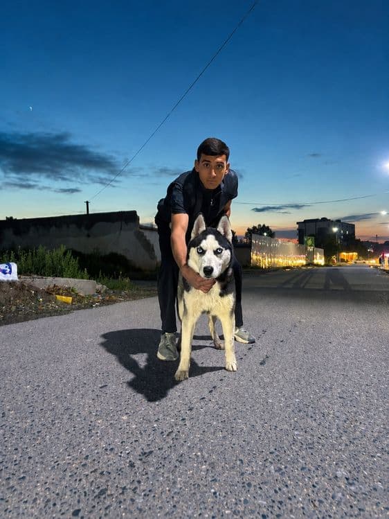 Sibiriski xaski 6 oylik erkak — 5