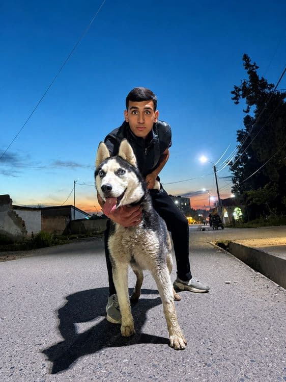 Sibiriski xaski 6 oylik erkak — 6