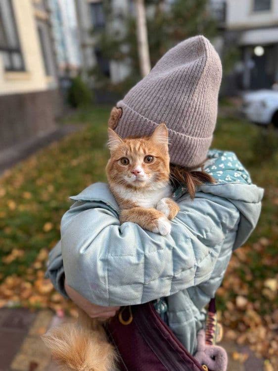 Отдам котенка в добрые руки — 6
