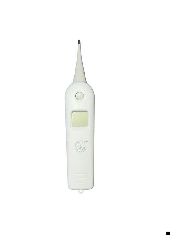 Termometirlar olx — 3