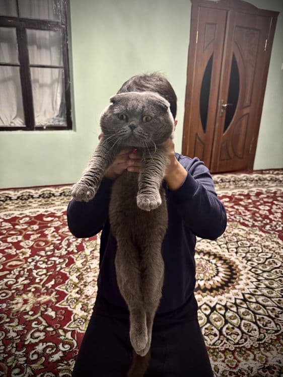 Только для вязки Не продаётся — 3