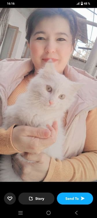 Turetskiy angora — 1