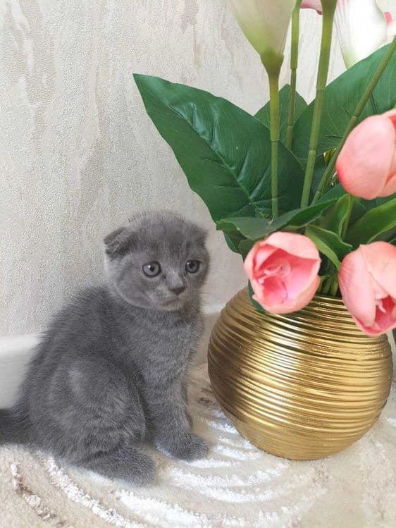 Продаюся мальчики еда и песок +5 — 2