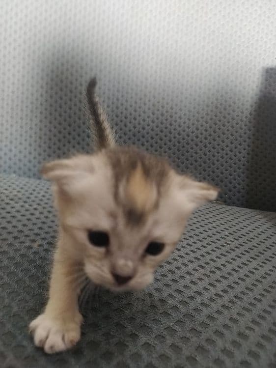 2 oylik bilan 1 yarim oylik — 4