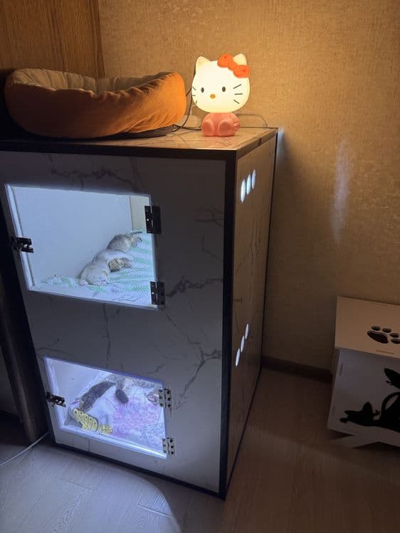 Дом для Кошек и Котят / Для Родов на заказ — 3