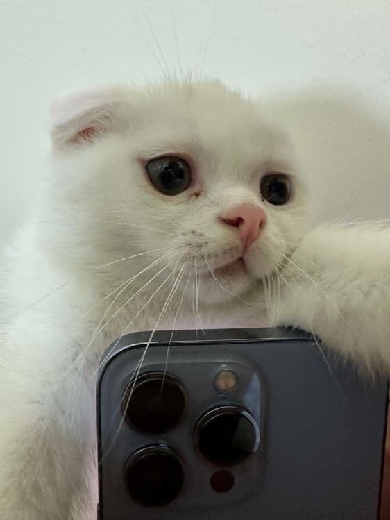 Звоните всё обсудим — 5