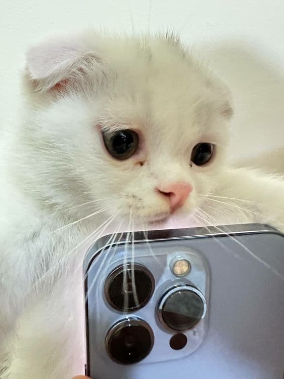 Звоните всё обсудим — 6