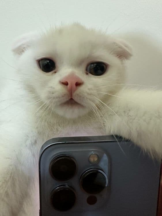 Звоните всё обсудим — 7