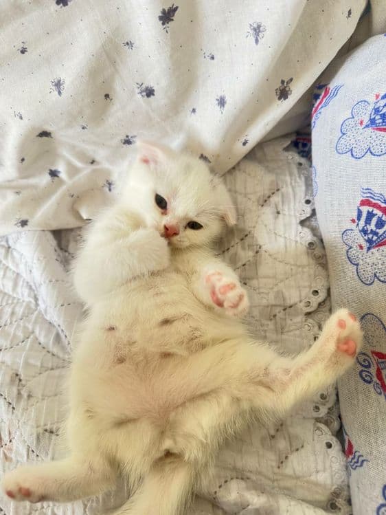 Звоните всё обсудим — 8
