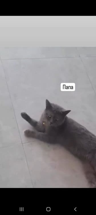 Мама и две котят — 2