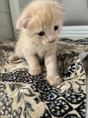 2 мес мальчик и девочка