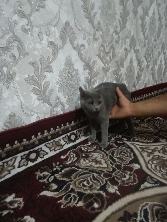 Otaqulov Mehrojjon — 2