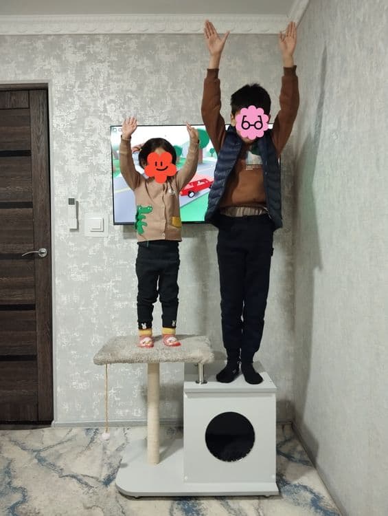 Mushuk uchun chiroyli uy.  Прекрасный домик для кошки. — 8