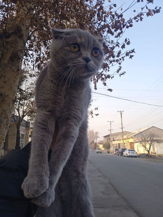 Men oqishga ketyapan yaxshi qolga sotuladi shartim sharoti yaxshi bols — 1
