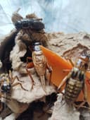 Живые чёрные сверчки для рыбалки и кормления животных