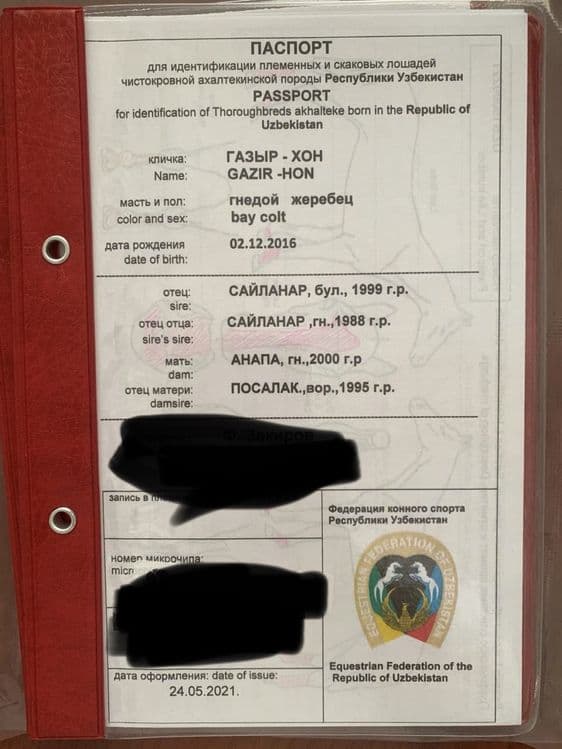 Ахалтекин отлари — 7