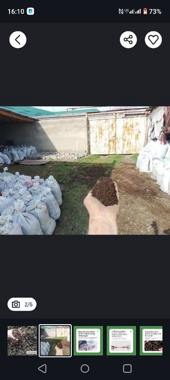 Калифорния чувалчанги калифорнийский червы — 1