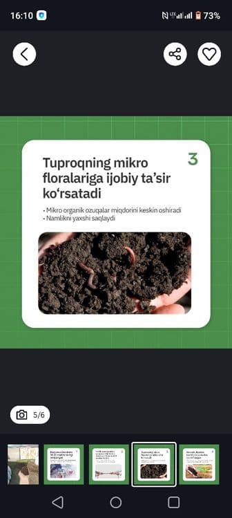 Калифорния чувалчанги калифорнийский червы — 4