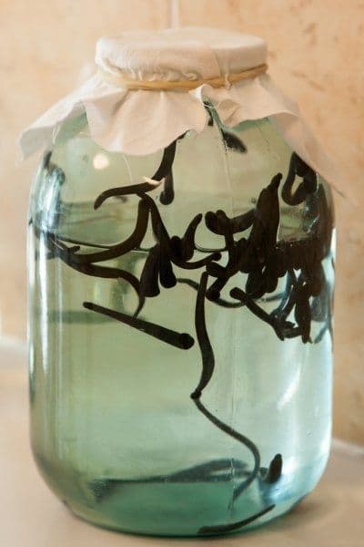 Zuluk sotiladi, Продаю пиявки — 4