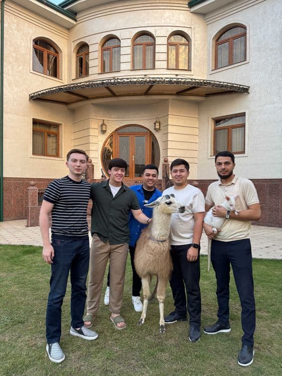 Продается пара ЛАМЫ — 2