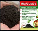 Чувалчанг акция chuvalchang aksiya