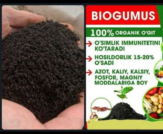 Чувалчанг акция chuvalchang aksiya — 1