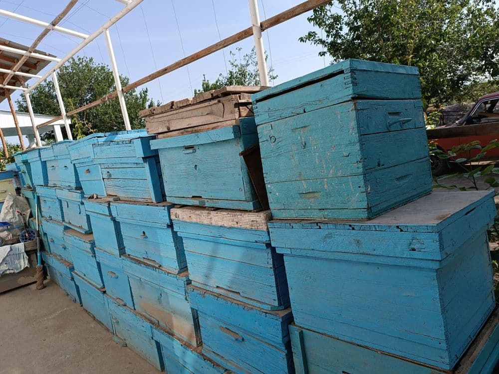 Асал ари яшиклари сотилади — 1