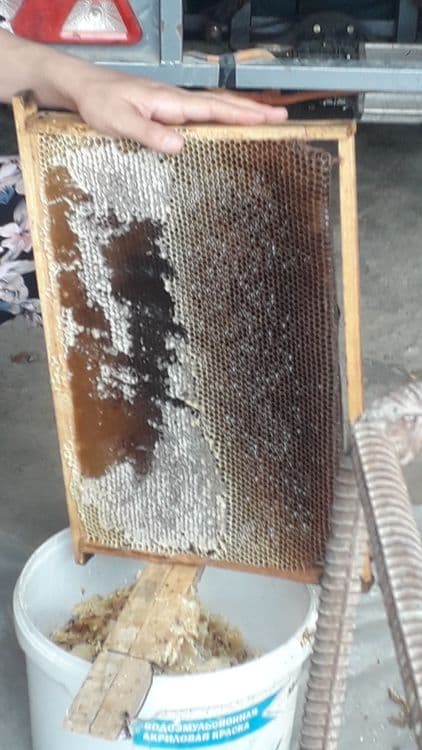 Buxoro vil. Kogon t.da Asalori oilasi sotiladi 1 ta ramkasi 150 000 co — 8
