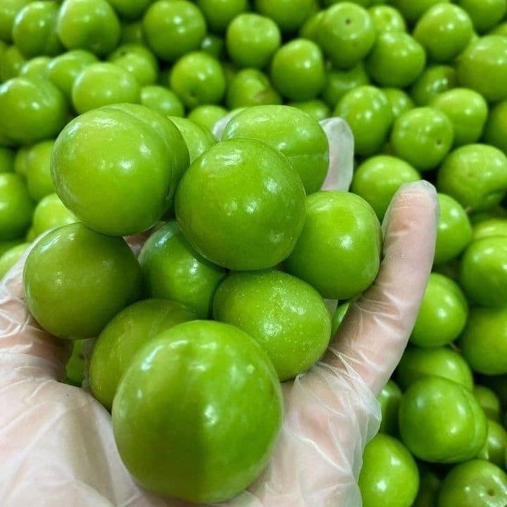 Dovcha muzlatilgani bor va kok sulton muzlatilgani bor — 2